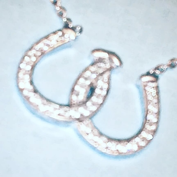 925 DOUBLE HORSE SHOE DIAMOND NECKLACE - Picture 4 of 6